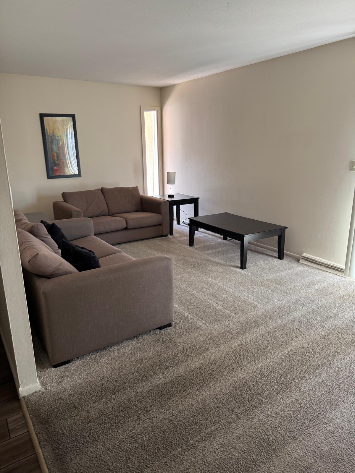 Residential Cleaning
